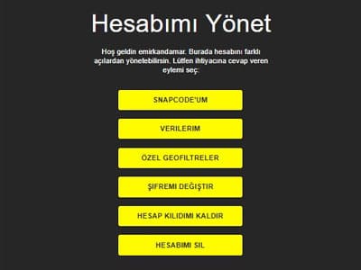 Snapchat Reklamı Hesap Optimizasyonu Süreci