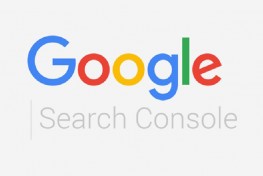 Google Search Console'a Resim Takibi İmkânı Geldi! | Sahne Medya