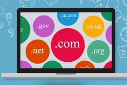 SEO için İyi Bir Domain Nasıl Seçilir? | Sahne Medya