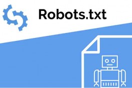 Web Sitelerinde Robots.txt Dosyasının Önemi | Sahne Medya