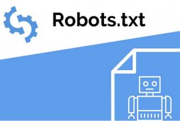 Web Sitelerinde Robots.txt Dosyasının Önemi | Sahne Medya