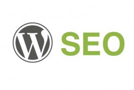 WordPress’te SEO Çalışması Nasıl Yapılır? | Sahne Medya